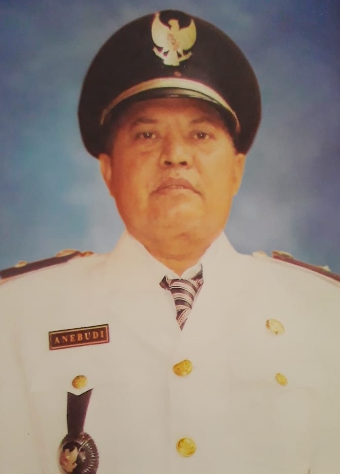 Ane Budi